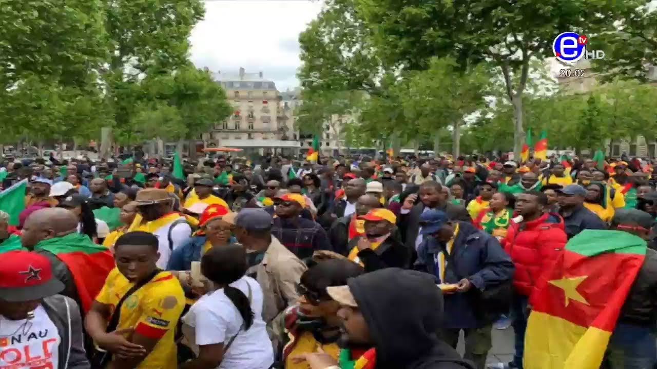 marche-des-camerounais-de-la-diaspora-à-paris-le-18-mai-2019
